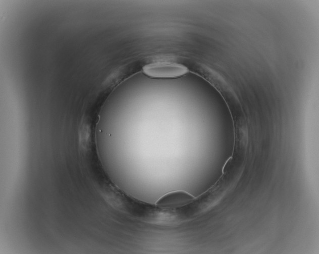 X0000110980308200906261434