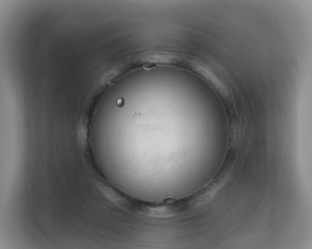 X0000110980309200906261434