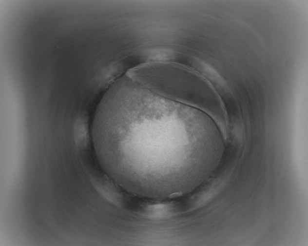 X0000110980312200906261434