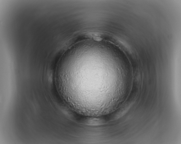 X0000110980315200906261434