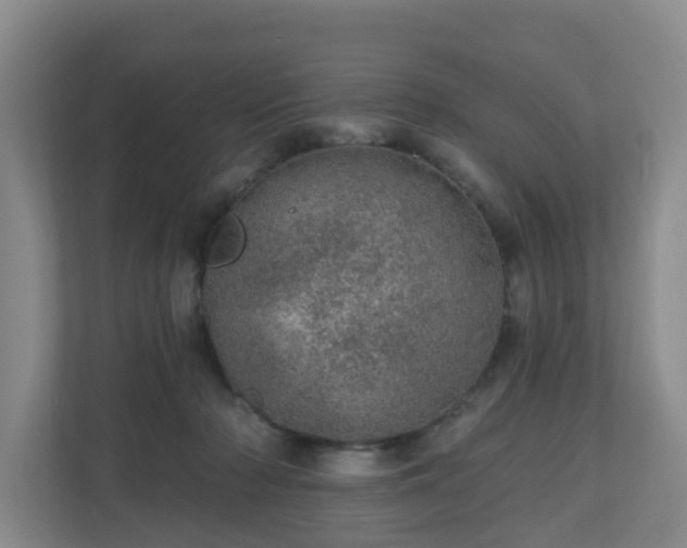 X0000110980318200906261434