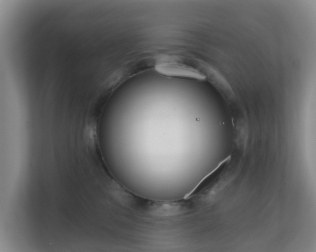 X0000110980329200906261434