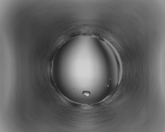 X0000110980333200906261434