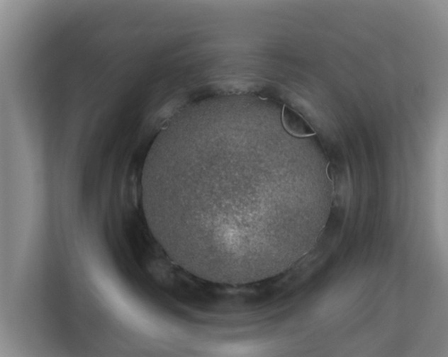 X0000110980334200906261434