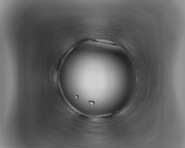 X0000110980336200906261434