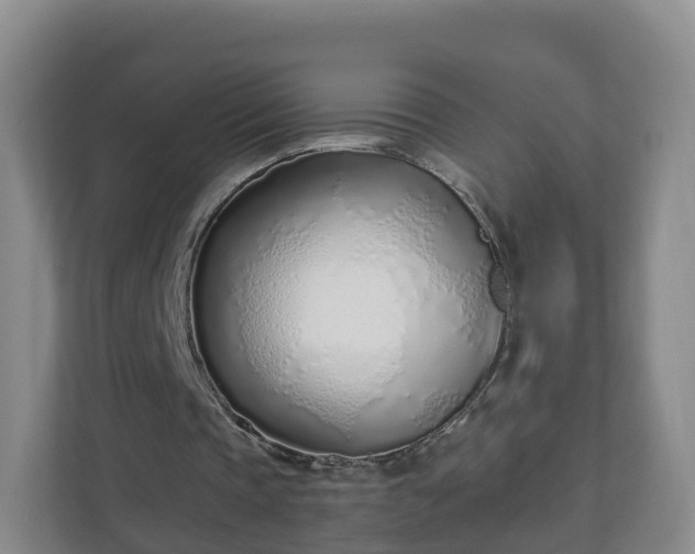 X0000110980337200906261433