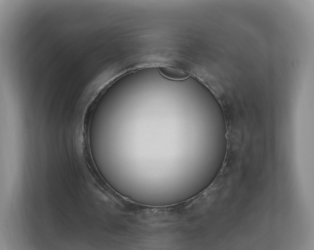 X0000110980338200906261433