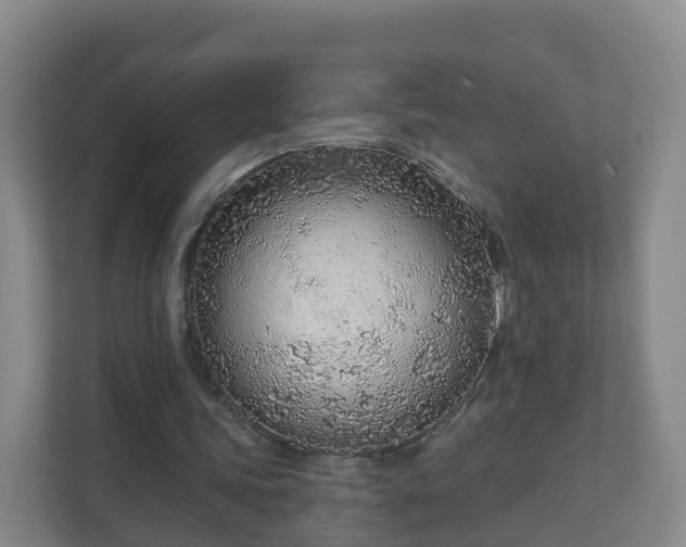 X0000110980339200906261433