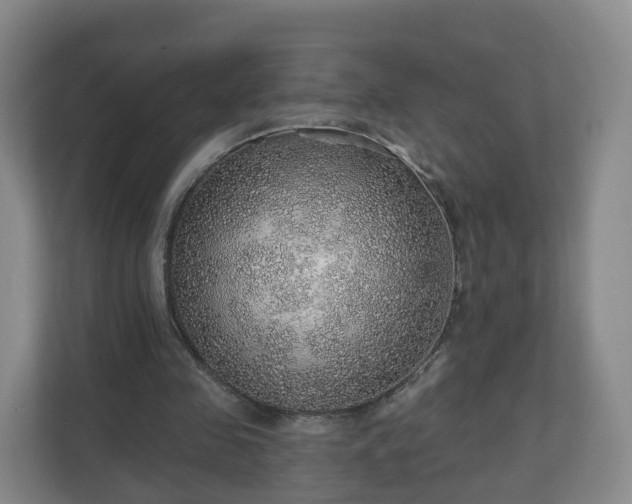 X0000110980341200906261434