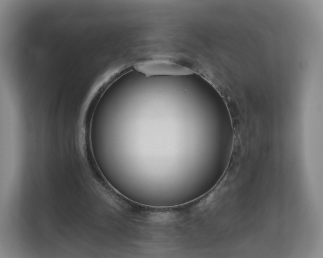 X0000110980342200906261434