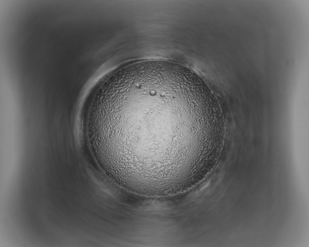 X0000110980343200906261434