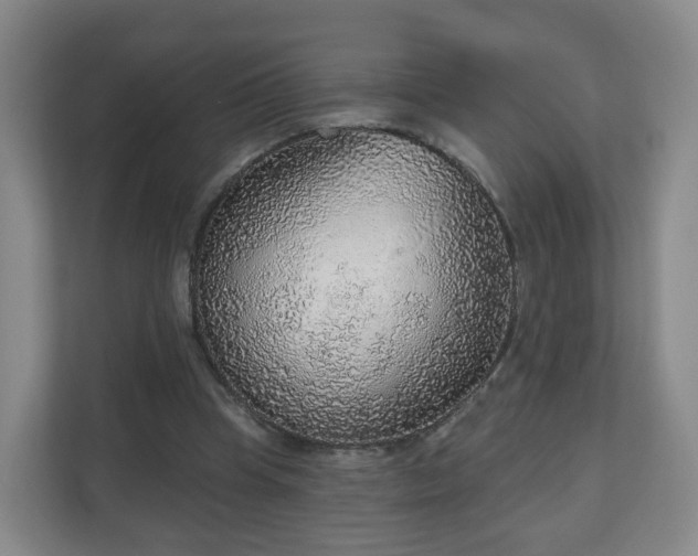 X0000110980345200906261434