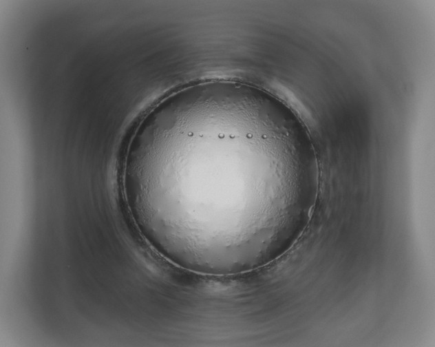 X0000110980346200906261434