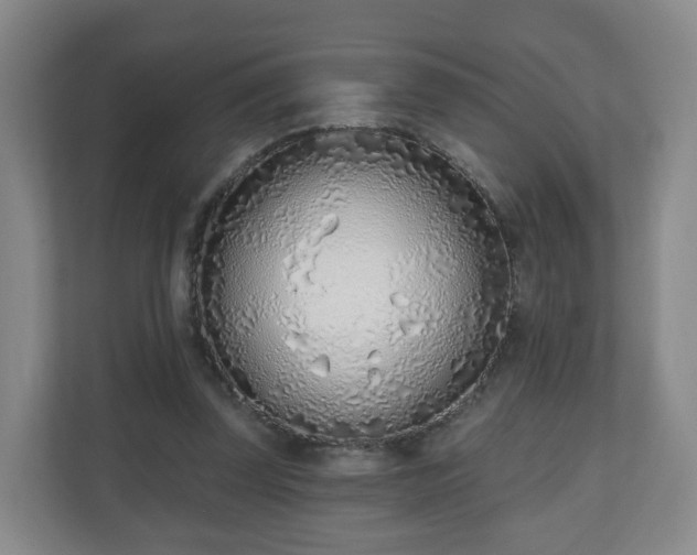 X0000110980347200906261434