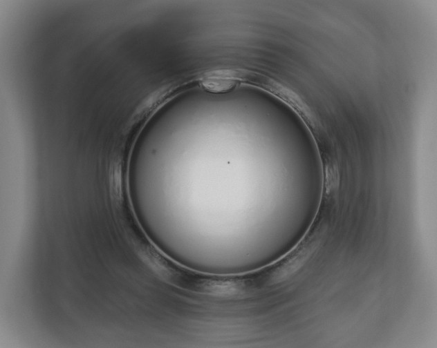 X0000110980349200906261434