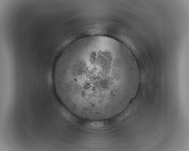 X0000110980353200906261434