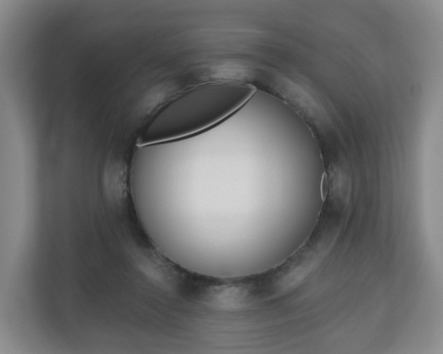 X0000110980356200906261434