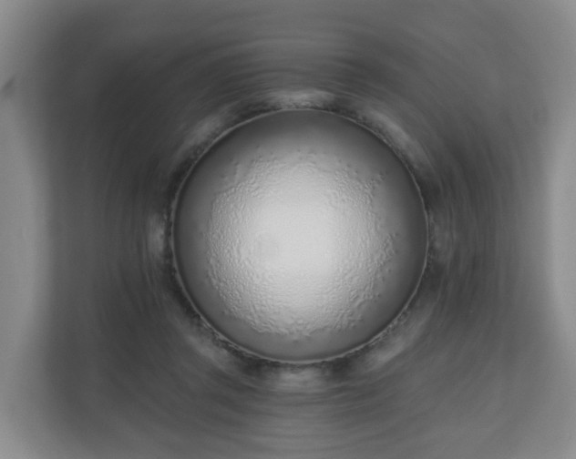 X0000110980357200906261434