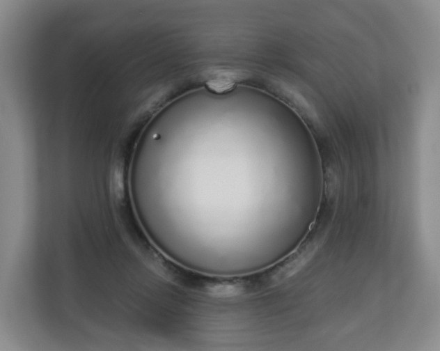 X0000110980358200906261434