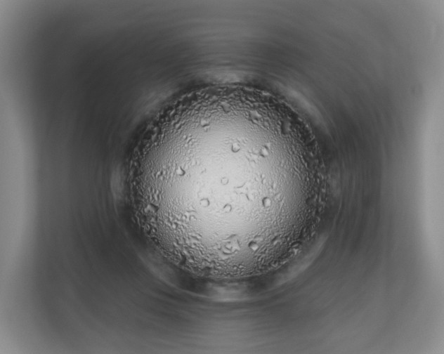 X0000110980359200906261434