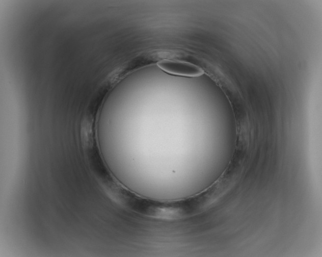 X0000110980360200906261434