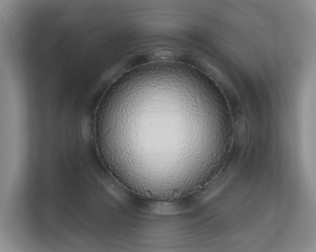 X0000110980361200906261434