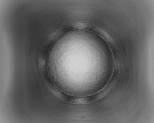 X0000110980365200906261434