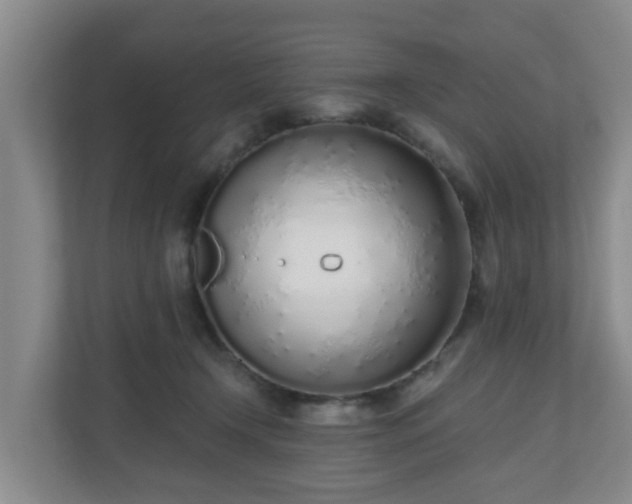 X0000110980366200906261434