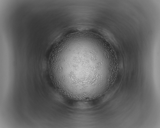 X0000110980367200906261434