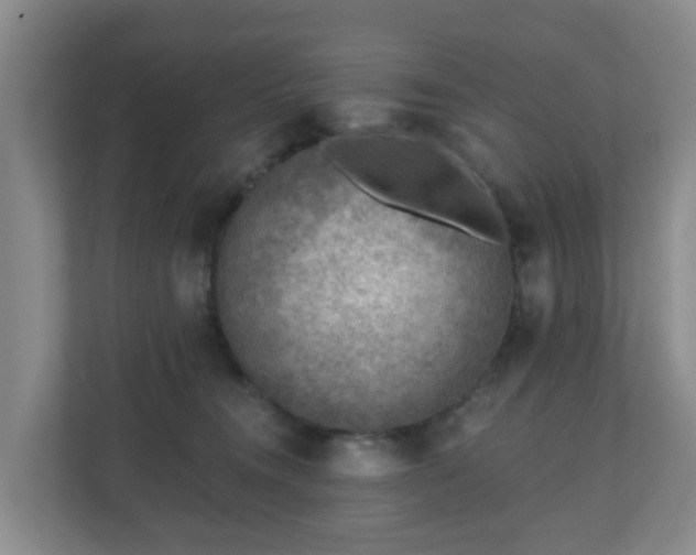 X0000110980372200906261434