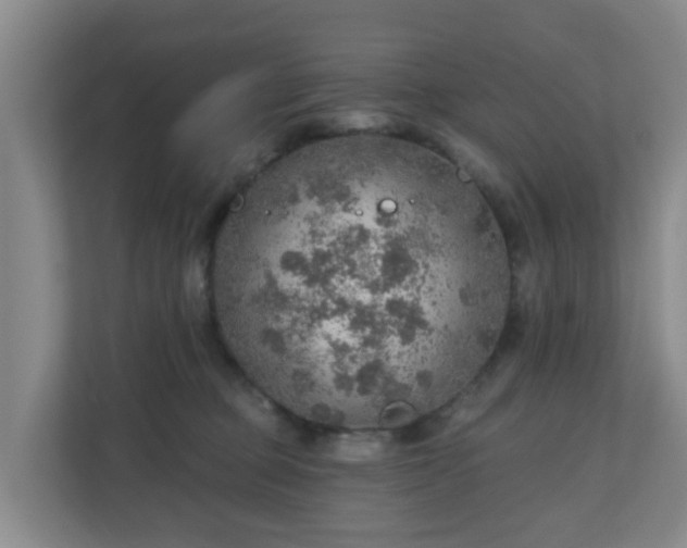 X0000110980373200906261434