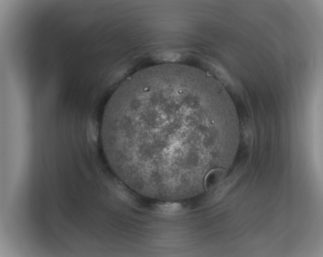 X0000110980374200906261434