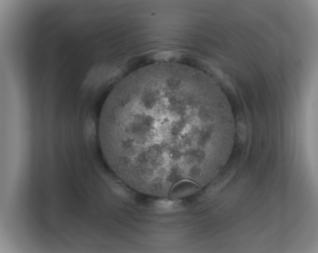 X0000110980375200906261434