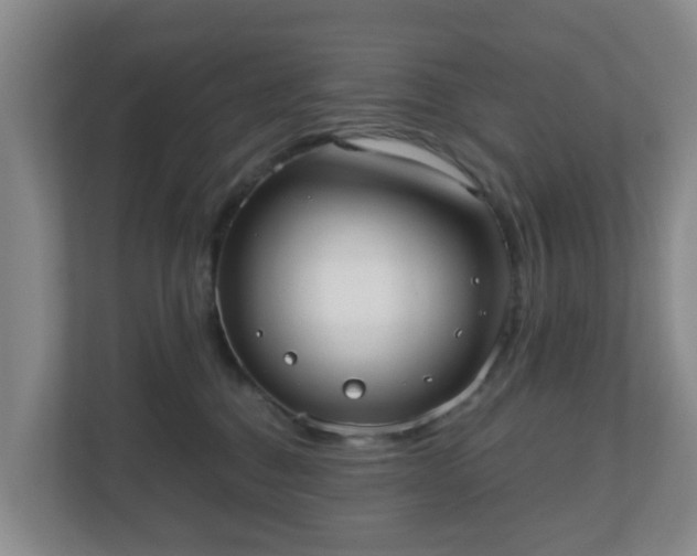 X0000110980376200906261434