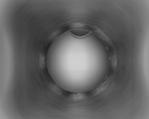 X0000110980378200906261434