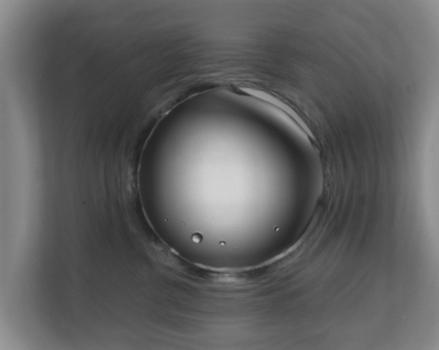 X0000110980380200906261434