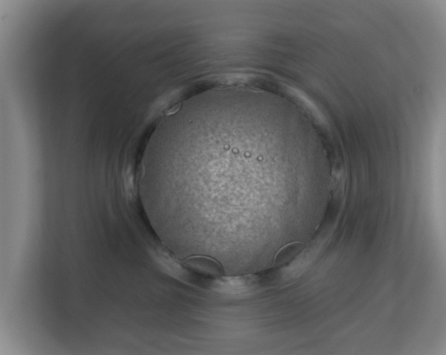 X0000110980381200906261434