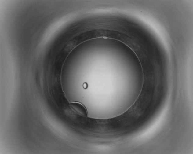 X0000110980382200906261434