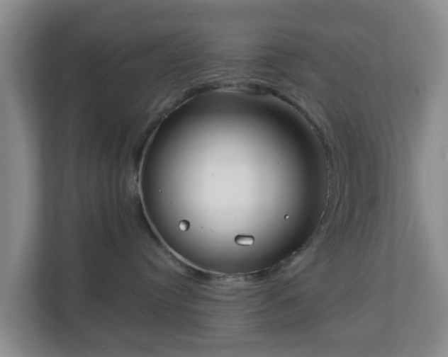 X0000110980384200906261434