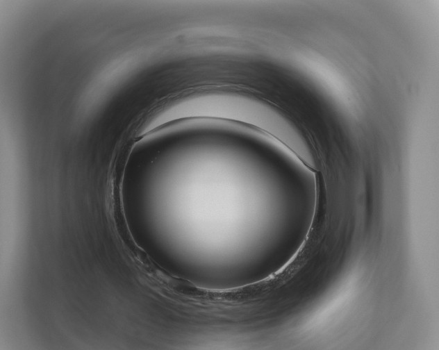 X0000110980387200906261433