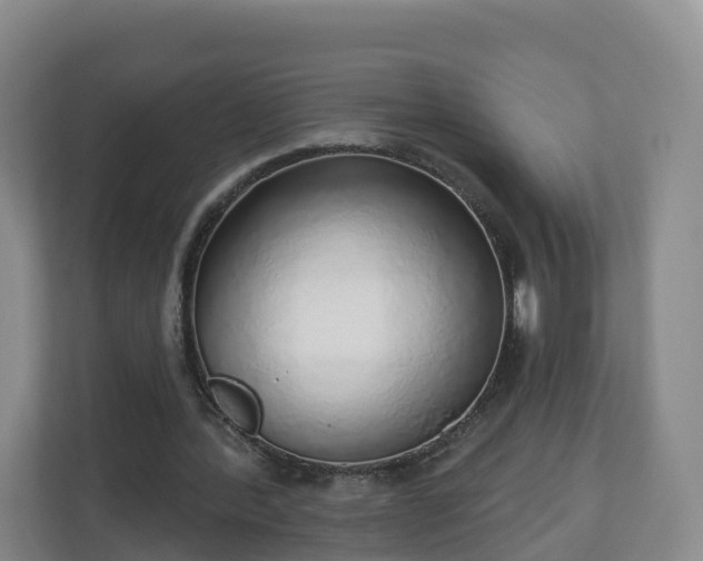 X0000110980388200906261433