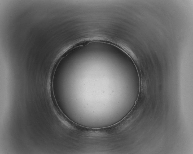 X0000110980389200906261433