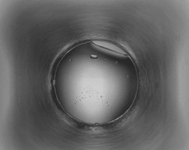 X0000110980395200906261433