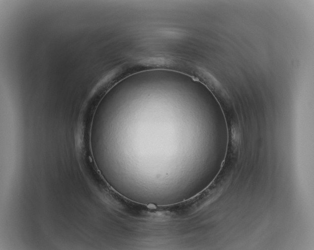 X0000110980396200906261433