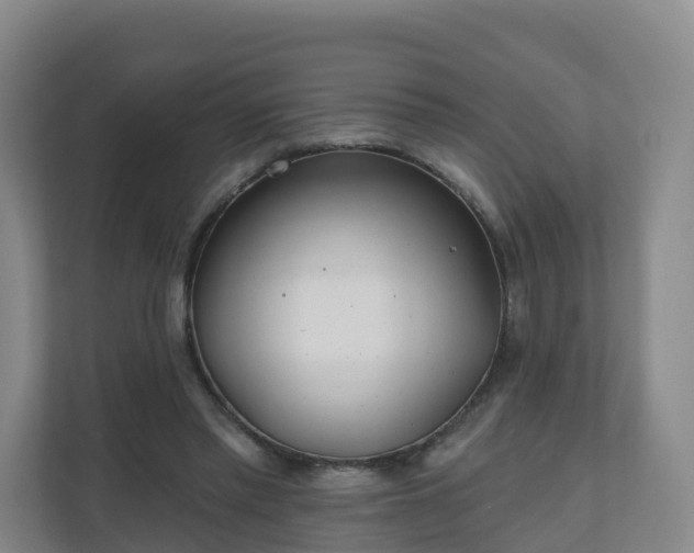 X0000110980397200906261433