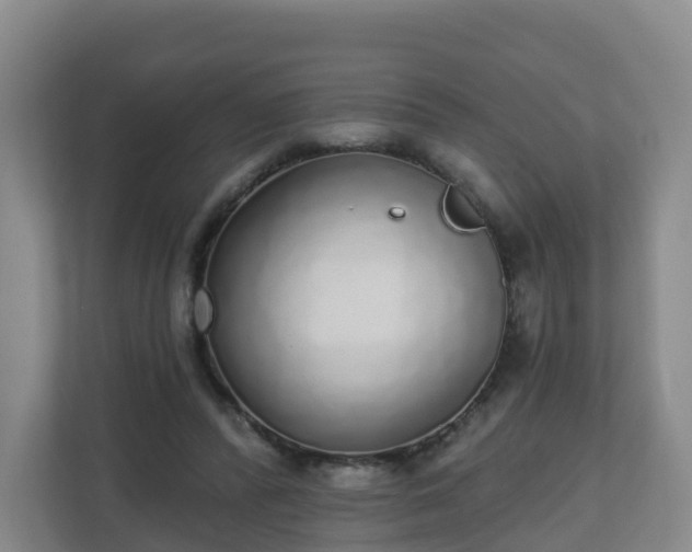 X0000110980400200906261433