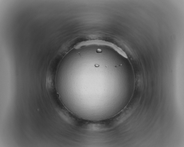 X0000110980408200906261433