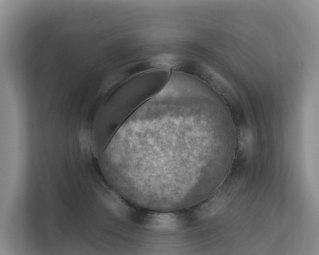 X0000110980409200906261433