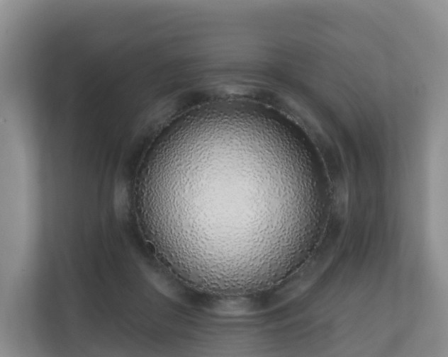 X0000110980410200906261433