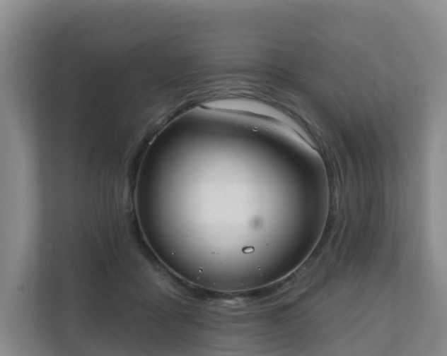 X0000110980411200906261433